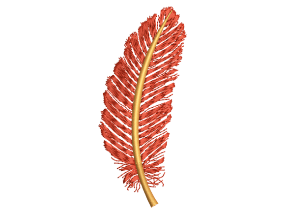 Red Decorative Feather Embroidery Review